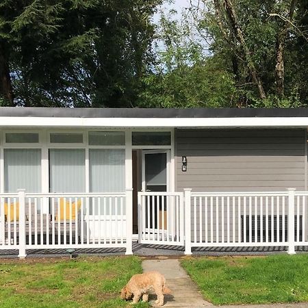 Woodlands Luxury Escape - Lodge 81 New Quay  Eksteriør bilde