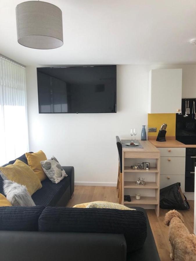 Woodlands Luxury Escape - Lodge 81 New Quay  Eksteriør bilde